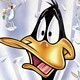 Daffy1